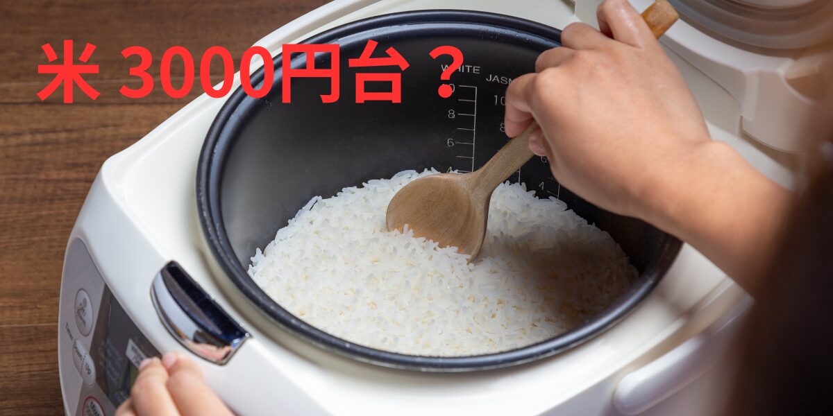 米3000円台