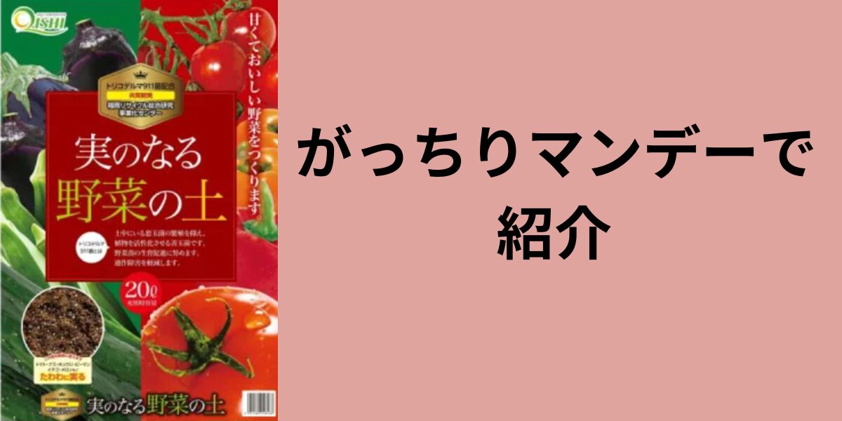 がっちりマンデー実のなる土